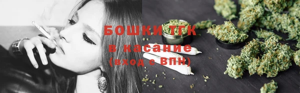 стафф Гусь-Хрустальный