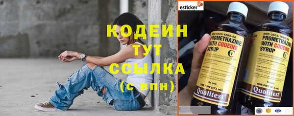 метадон Гусев