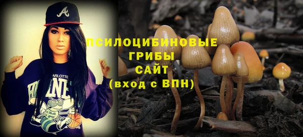стафф Гусь-Хрустальный
