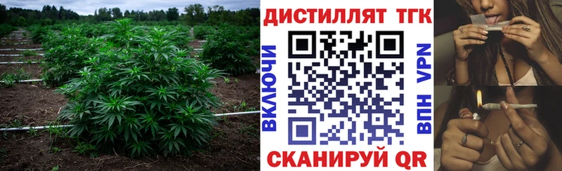 дарнет шоп Обоянь кракен как войти ТГК THC oil